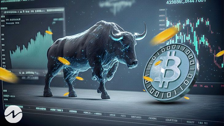 A Bitcoin Bull Run?