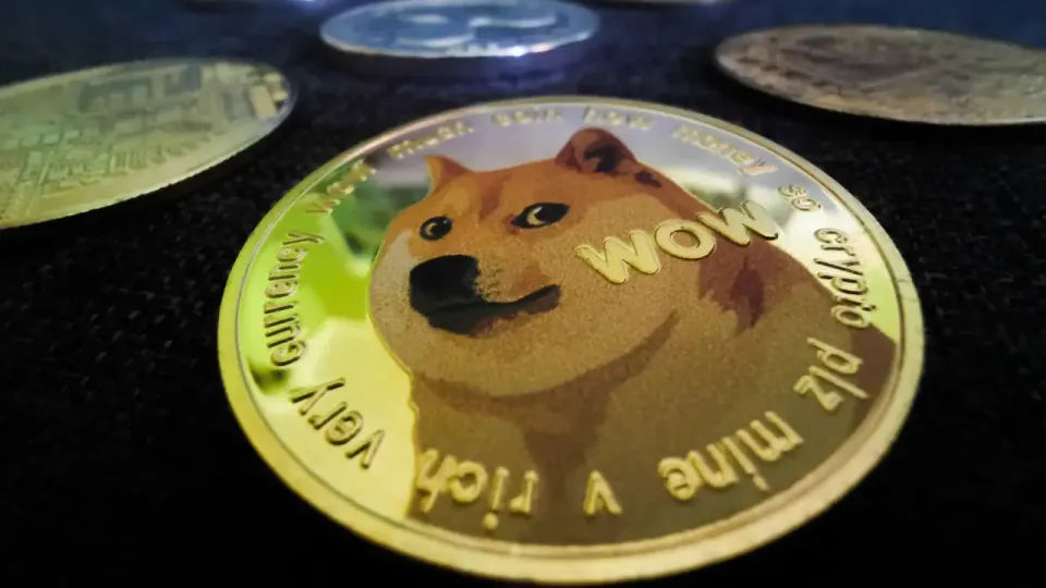 [EXTRA NEWS] Will You Still Trust DOGE After Reading This?